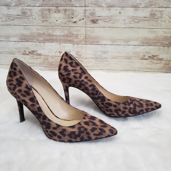 Circus by Sam Edelman Leopard Print Pointed-Toe Pumps - Brown/Tan - Picture 5 of 7